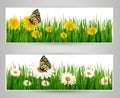 Two banners with butterflies and flowers. Royalty Free Stock Photo