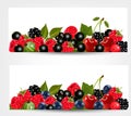 Two banners with delicious ripe berries.