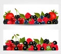 Two banners with delicious ripe berries.