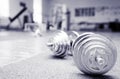 Two barbells Royalty Free Stock Photo