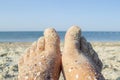 Two bare feet of caucasian woman soiled in sand with shell rock on sandy sea Royalty Free Stock Photo
