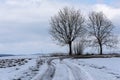 Two bare trees growing in the bend of a winter path in a snowy landscape in the Highlands Royalty Free Stock Photo