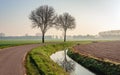 Two bare trees next to a country road Royalty Free Stock Photo