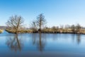 Two bare trees reflected Royalty Free Stock Photo