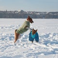Two basenji in funny dog costumes playing in the snow