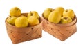 Two baskets with apples of the winter variety Golden Delicious in basket Royalty Free Stock Photo