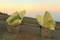 Two baskets with big pieces of the heavy sulphur from the Ijen Volcano