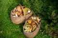 two baskets with fresh forest mashrooms outdoors Royalty Free Stock Photo