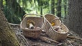 Two baskets full of mushrooms