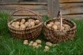 Two baskets of potatoes Royalty Free Stock Photo