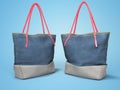 Two beach bags 3d rendering on blue background with shadow