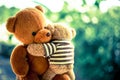 Two Bear dolls Royalty Free Stock Photo