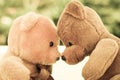 Two Bear dolls Royalty Free Stock Photo