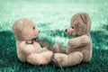 Two Bear dolls Royalty Free Stock Photo