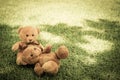 Two Bear dolls Royalty Free Stock Photo