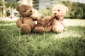 Two Bear dolls Royalty Free Stock Photo