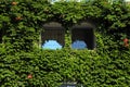 Two beautiful arch windows with green ivy wall, Greece