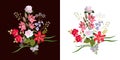 Two beautiful bouquets of garden flowers isolated on black and white backgrounds. Luxury collection in vector Royalty Free Stock Photo