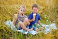Two beautiful boys in T-shirts and shorts are sitting on a blanket. They eat ice cream on a picnic in a wheat field. Summer mood Royalty Free Stock Photo