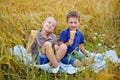 Two beautiful boys in T-shirts and shorts are smiling cheerfully. They eat ice cream on a picnic in a wheat field. Summer mood Royalty Free Stock Photo