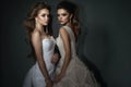 Two beautiful brides with perfect make up and hairstyle wearing luxurious wedding dresses and splendid earrings