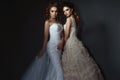 Two beautiful brides with perfect make up and hairstyle wearing luxurious wedding dresses and splendid earrings.