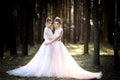 Two beautiful brides together.