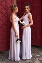 Two beautiful bridesmaids girls blonde and brunette ladies wearing elegant full length lavender violet tulle one Royalty Free Stock Photo