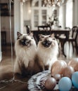 Two beautiful cats in a luxurious classic interior with balloons and decorations. Generative Ai