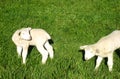 Two sweet swiss lamb and sheep on a green meadow in the sunshine for easter cards