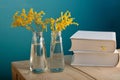 Two beautiful delicate branches of yellow mimosa in small figured glass bottles of water