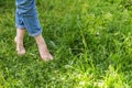 Two beautiful female feet walking on grass in sunny summer morning. Light step barefoot girl legs on soft spring lawn in garden or Royalty Free Stock Photo