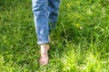 Two beautiful female feet walking on grass in sunny summer morning. Light step barefoot girl legs on soft spring lawn in garden or Royalty Free Stock Photo