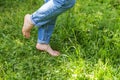 Two beautiful female feet walking on grass in sunny summer morning. Light step barefoot girl legs on soft spring lawn in Royalty Free Stock Photo