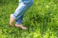 Two beautiful female feet walking on grass in sunny summer morning. Light step barefoot girl legs on soft spring lawn in garden or Royalty Free Stock Photo