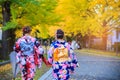 Two beautiful girl wearing japanese traditional kimono in autumn. Autumn park in Sapporo, Japan. The colourful Kimono and the