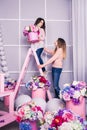 Two beautiful girls in jeans and pink sweater in studio with decor of flowers in baskets. Royalty Free Stock Photo