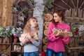 Two beautiful girls posing in Christmas decorations Royalty Free Stock Photo