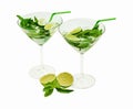 Two beautiful glasses with mojito and tubules