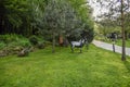 Two beautiful goat statues in the park Royalty Free Stock Photo