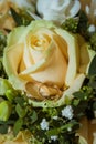 Two gold engagement rings on a yellow rose of the bride`s bouquet. Royalty Free Stock Photo