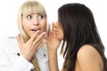 Two beautiful gossiping girls Royalty Free Stock Photo