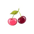 A two beautiful juicy ripe cherries