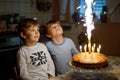 Two beautiful kids, little preschool boys celebrating birthday and blowing candles on homemade baked cake, indoor Royalty Free Stock Photo