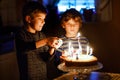 Two beautiful kids, little preschool boys celebrating birthday and blowing candles on homemade baked cake, indoor Royalty Free Stock Photo