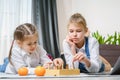 Two beautiful little sisters playing chess on a floor in living room Royalty Free Stock Photo