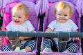 Two beautiful little twin babies, portrait in a baby Royalty Free Stock Photo