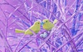 Two beautiful lovers low poly polygonal birds sitting on a branch pink tree with nest Royalty Free Stock Photo