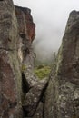 Two beautiful mossy ancient monoliths with a small tree in middle of composition