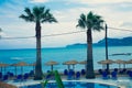 Two beautiful palm tree on the beach. Holiday concept with blue sea in the background. Deck chairs on the sea beach. Pool on the b Royalty Free Stock Photo